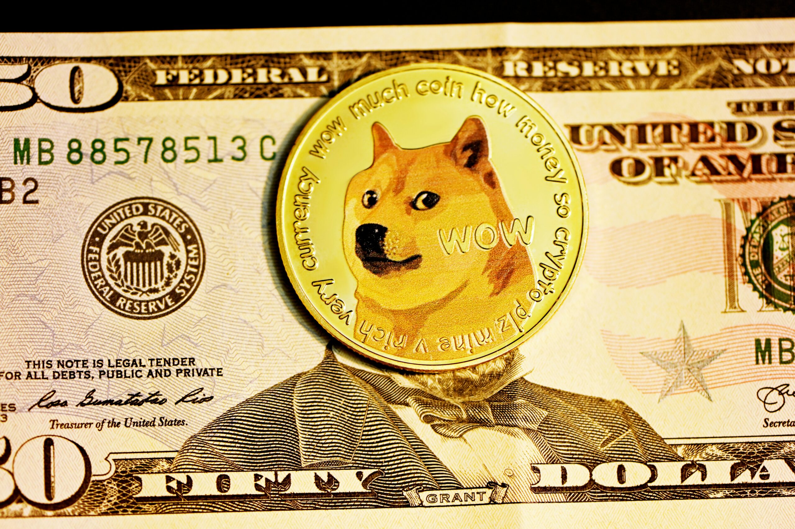 Reasons Why the Dogecoin Price Could Surge Beyond $1 in 2025