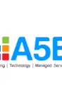 A5E Consulting