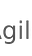 AgileDevServices