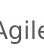 AgileDevServices