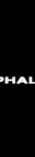 Alphaloop It