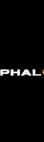 Alphaloop It