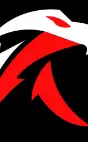 APAKUS Consulting Services