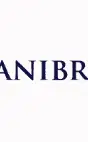 Banibro IT Solutions