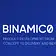 Binamico