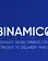 Binamico