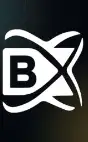 BlockchainX
