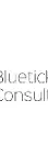 Bluetick Consultants Inc.