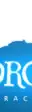 Borgo Interactive