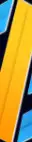 Bracezin Technologies Private Limited