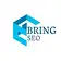 Bring SEO