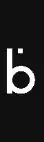 ByteCorp