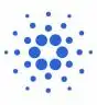 Cardano Foundation