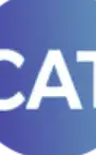 CAT Software Services
