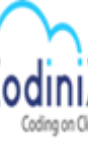 Codinix Technologies Inc.