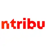 CoinTribune