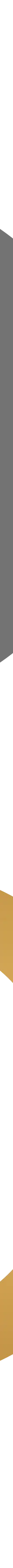 Comtech Gold