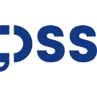 DSS - Digital and Software Solutions