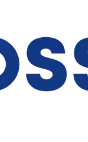 DSS - Digital and Software Solutions