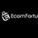 Ecomfortunes