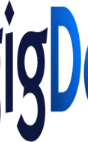 gigde global