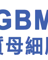 Global Brands Manufacture Ltd