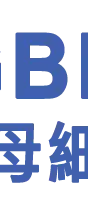 Global Brands Manufacture Ltd