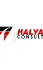 Halyard Consulting