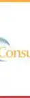 IDI Consulting