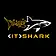 IT Shark