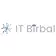 IT Birbal