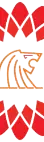 ITLION Software Solutions