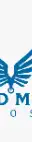 Lead Mark Infosys