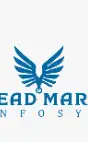 Lead Mark Infosys