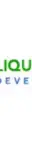 Liquid Web Developer