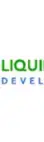 Liquid Web Developer