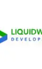 Liquid Web Developer