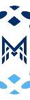 Mercury Softech