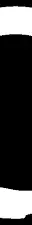 Moonbeam Network