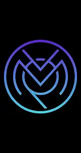 MVP Workshop