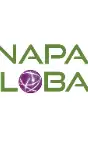 NAPA Global - IT Services and Consulting
