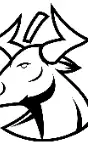 No Bull Code