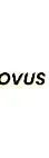 Novus ark