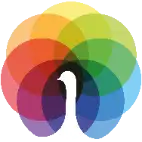 Peafowl IT Solution
