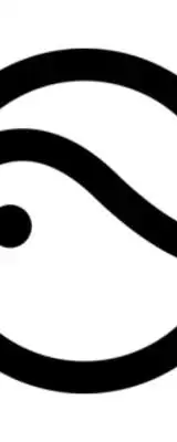 Pico Interactive