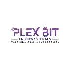 Plex Bit Infosystems