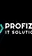 Profizio IT Solutions