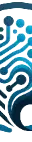 Project023 DJVD