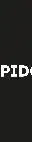 rapidcode.dev