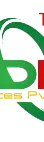 RDIT Services Pvt Ltd